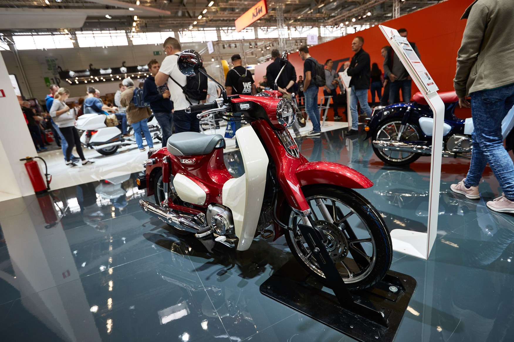 honda cub