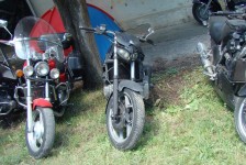 potfat_mc_637_20090715_1018139584