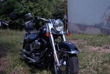 potfat_mc_639_20090715_1919558506