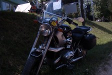 potfat_mc_640_20090715_1782105065