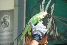 potfat_mc_809_20090715_1858090668