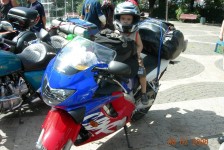 fim_rally_2008_160_20090715_2029047757