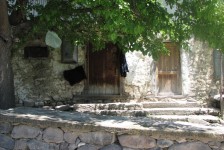 mariovo_169_20090715_1456460786
