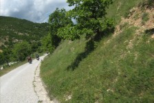 mariovo_260_20090715_1391795441