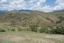 mariovo_380_20090715_1451811979