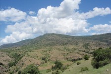 mariovo_381_20090715_1906941739