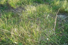 mariovo_686_20090715_1394250521
