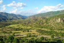 mariovo_688_20090715_1730866584