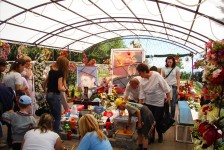 mariovo_776_20090715_1322414568