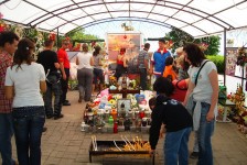 mariovo_777_20090715_1950768027