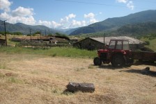 mariovo_806_20090715_1418903086