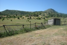 mariovo_807_20090715_1940402269
