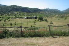 mariovo_808_20090715_1602043018