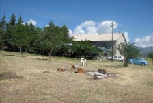 mariovo_811_20090715_1696410643