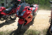 mariovo_822_20090715_1060727186
