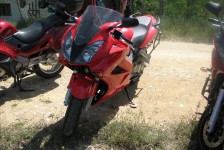 mariovo_823_20090715_1200242655