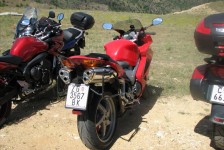 mariovo_824_20090715_1094285546