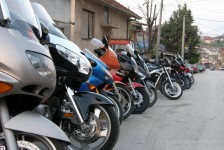 mk_bears_macedonia_303_20090807_1007480695