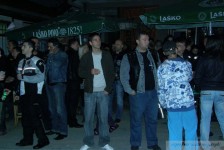 mk_bears_macedonia_368_20090807_1134179581