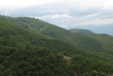 mk_osogovski_vozaci_384_20090810_1693895049