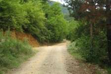 mk_osogovski_vozaci_387_20090810_1913661082