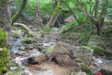 mk_osogovski_vozaci_404_20090810_1108220262
