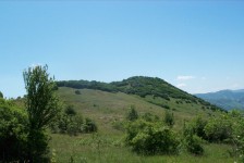 moto_tour_mariovo_2009_499_20090807_1138228286