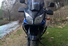 pesti_61_20090716_2070200390