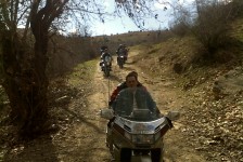 pesti_65_20090716_1327239386
