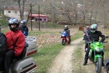 pesti_77_20090716_1892601355