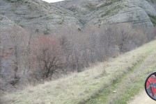 pesti_82_20090716_1486721881