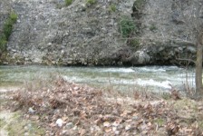 pesti_84_20090716_1970974852
