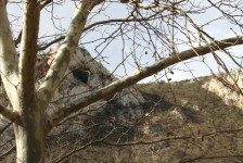 pesti_86_20090716_1880214086