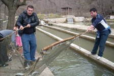 radovis_6_20090807_1370346351