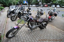 potfat-mc-2010_50_20100621_1216942623