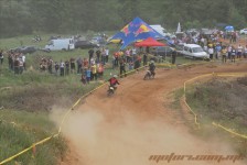 bratindol_1_113_20100531_1635180092