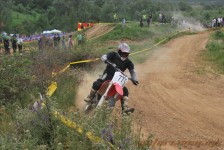 bratindol_1_121_20100531_1238603320
