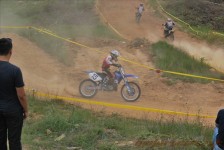 bratindol_1_176_20100531_1063015309