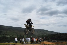 bratindol_1_178_20100531_2019724442