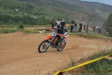 bratindol_1_195_20100531_1820265519