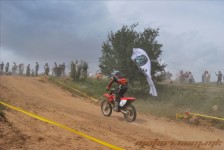 bratindol_1_202_20100531_2026399965
