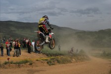 bratindol_1_226_20100531_1380065110