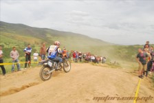 bratindol_1_232_20100531_1534189613