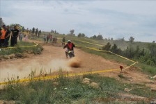 bratindol_1_238_20100531_1594545684
