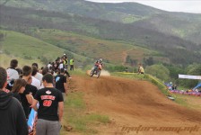 bratindol_1_261_20100531_1497397885