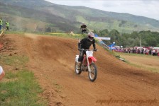 bratindol_1_294_20100531_1795811737