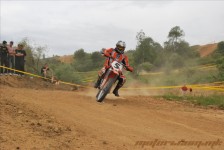 bratindol_1_357_20100531_1546411687