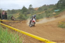 bratindol_1_359_20100531_2028040876
