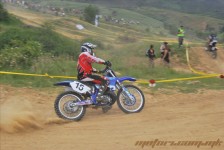 bratindol_1_367_20100531_1991460974
