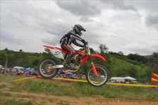 bratindol_1_371_20100531_1924743311